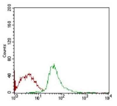 Flow Cytometry: SCP3/SYCP3 Antibody (6F9C5) - Azide and BSA Free [NBP2-80942] - Analysis of Jurkat cells using SCP3 mouse mAb (green) and negative control (red). Image from the standard format of this antibody.