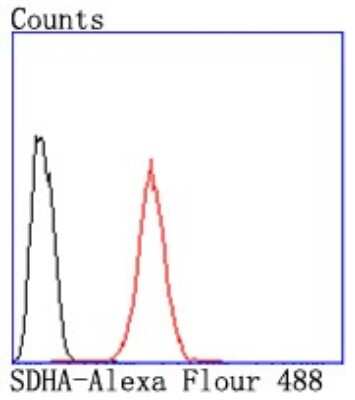Flow Cytometry: SDHA Antibody (JM10-83) [NBP2-67130] - Flow cytometric analysis of Hela cells with SDHA antibody at 1/50 dilution (red) compared with an unlabeled control (cells without incubation with primary antibody; black). Alexa Fluor 488-conjugated goat anti rabbit IgG was used as the secondary antibody.