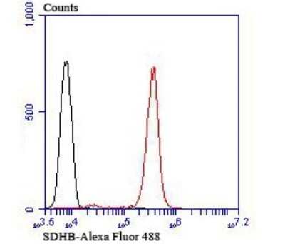 Flow Cytometry: SDHB Antibody (JU02-33) [NBP2-75658] - Analysis of Jurkat cells with SDHB antibody at 1/100 dilution (red) compared with an unlabelled control (cells without incubation with primary antibody; black). Alexa Fluor® 488-conjugated goat anti-rabbit IgG was used as the secondary antibody.
