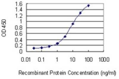 Sandwich ELISA: SDNSF/MCFD2 Antibody (3A5-G4) [H00090411-M01] - Detection limit for recombinant GST tagged MCFD2 is 0.1 ng/ml as a capture antibody.