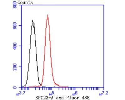 Flow Cytometry: SEC23A Antibody (JU37-48) [NBP2-75428] - Analysis of HepG2 cells with SEC23 antibody at 1/100 dilution (red) compared with an unlabelled control (cells without incubation with primary antibody; black). Goat anti rabbit IgG (FITC) was used as the secondary antibody.