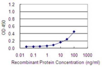 Sandwich ELISA: SELRC1 Antibody (1G11-1C4) [H00065260-M01] - Detection limit for recombinant GST tagged C1orf163 is 1 ng/ml as a capture antibody.