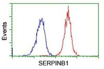 Flow Cytometry: SERPINB1 Antibody (OTI3B4) - Azide and BSA Free [NBP2-74123] - Analysis of Jurkat cells, using anti-SERPINB1 antibody, (Red), compared to a nonspecific negative control antibody (Blue).