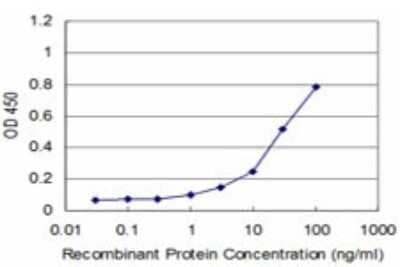 ELISA: SET Antibody (M1-F5) [H00006418-M01] - Detection limit for recombinant GST tagged SET is approximately 3ng/ml as a capture antibody.