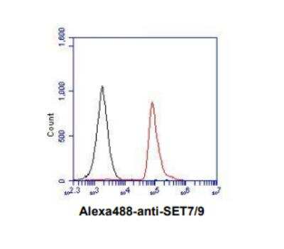 Flow Cytometry: SETD7/9 Antibody (s4E5) [NBP1-04298] - Analysis of SET7/9 in Jurkat cell line, staining at 2-5ug for 1x106cells (red line). The secondary antibody used goat anti-mouse IgG Alexa fluor 488 conjugate. Isotype control antibody was mouse IgG (black line).