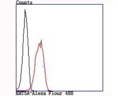 Flow Cytometry: SETD8 Antibody (JM73-43) [NBP2-75662] - Analysis of 293T cells with KMT5A antibody at 1/100 dilution (red) compared with an unlabelled control (cells without incubation with primary antibody; black).