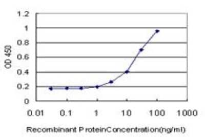 ELISA: SF20/MYDGF Antibody (2D4) [H00056005-M03] - Detection limit for recombinant GST tagged SF20/MYDGF is approximately 1ng/ml as a capture antibody.