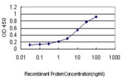 Sandwich ELISA: SH2D3C Antibody (2E3) [H00010044-M02] - Detection limit for recombinant GST tagged SH2D3C is approximately 0.1ng/ml as a capture antibody.