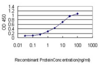 Sandwich ELISA: SH3BGRL Antibody (3B8) [H00006451-M01] - Detection limit for recombinant GST tagged SH3BGRL is approximately 0.1ng/ml as a capture antibody.