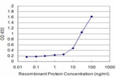 ELISA: SH3BP4 Antibody (2B6) [H00023677-M11] - Detection limit for recombinant GST tagged SH3BP4 is approximately 1ng/ml as a capture antibody.