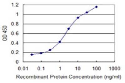 Sandwich ELISA: SH3BP5 Antibody (1D5) [H00009467-M02] - Detection limit for recombinant GST tagged SH3BP5 is 0.03 ng/ml as a capture antibody.