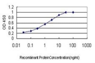 ELISA SH3MD2 Antibody (3H3)