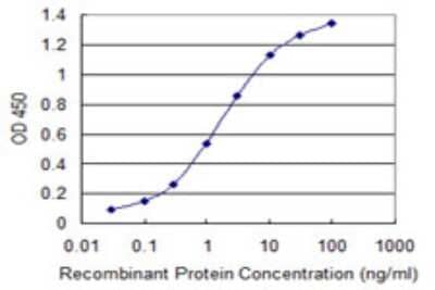 Sandwich ELISA: SHC3 Antibody (1C11) [H00053358-M04] - Detection limit for recombinant GST tagged SHC3 is 0.03 ng/ml as a capture antibody.