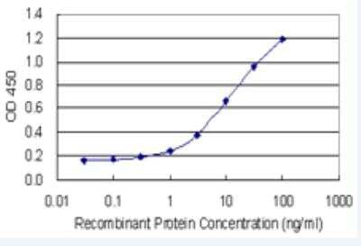 ELISA: SHMT2 Antibody (5E7) [H00006472-M04-100ug] - Detection limit for recombinant GST tagged SHMT2 is 0.1 ng/ml as a capture antibody.