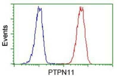 Flow Cytometry: SHP-2/PTPN11 Antibody (OTI3F2) - Azide and BSA Free [NBP2-74173] - Analysis of Jurkat cells, using anti-PTPN11/SHP2 antibody, (Red), compared to a nonspecific negative control antibody (Blue).