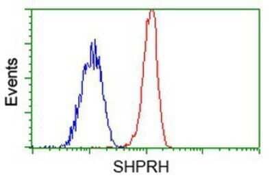 Flow Cytometry: SHPRH Antibody (OTI5G8) - Azide and BSA Free [NBP2-74180] - Analysis of Jurkat cells, using anti-SHPRH antibody, (Red), compared to a nonspecific negative control antibody (Blue).