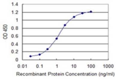 Sandwich ELISA: SIN3A Antibody (1B7) [H00025942-M01] - Detection limit for recombinant GST tagged SIN3A is 0.03 ng/ml as a capture antibody.