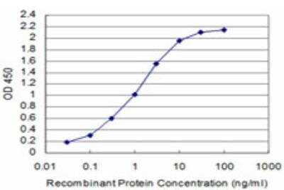 ELISA: SIX homeobox 4 Antibody (3B8) [H00051804-M05] - Detection limit for recombinant GST tagged SIX4 is approximately 0.1ng/ml as a capture antibody.