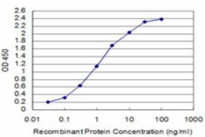 ELISA: SIX homeobox 4 Antibody (5D4) [H00051804-M08] - Detection limit for recombinant GST tagged SIX4 is approximately 0.1ng/ml as a capture antibody.