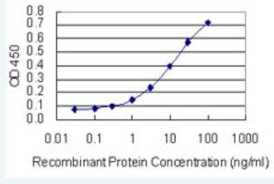 ELISA: SKIV2L Antibody (1E5) [H00006499-M05-50ug] - Detection limit for recombinant GST tagged SKIV2L is 0.3 ng/ml as a capture antibody.