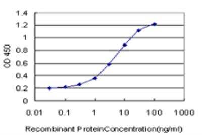 ELISA: SLC19A2 Antibody (5B10) [H00010560-M10] - Detection limit for recombinant GST tagged SLC19A2 is approximately 0.1ng/ml as a capture antibody.