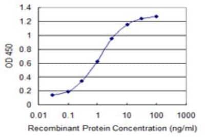 Sandwich ELISA: SLC19A3 Antibody (3B2) [H00080704-M07] - Detection limit for recombinant GST tagged SLC19A3 is 0.03 ng/ml as a capture antibody.