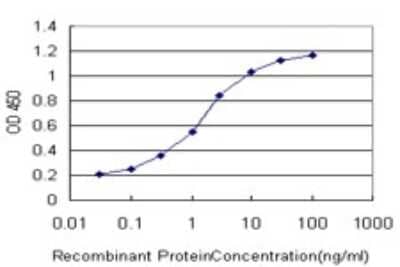 Sandwich ELISA: SLC22A13 Antibody (1E6) [H00009390-M01] - Detection limit for recombinant GST tagged SLC22A13 is approximately 0.03ng/ml as a capture antibody.