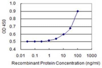 Sandwich ELISA: SLC25A23 Antibody (3E1) [H00079085-M04] - Detection limit for recombinant GST tagged SLC25A23 is 1 ng/ml as a capture antibody.