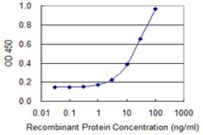 Sandwich ELISA: SLC25A24 Antibody (2C4) [H00029957-M01] - Detection limit for recombinant GST tagged SLC25A24 is 0.3 ng/ml as a capture antibody.