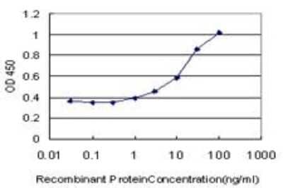 ELISA SLC26A5 Antibody (1F4)