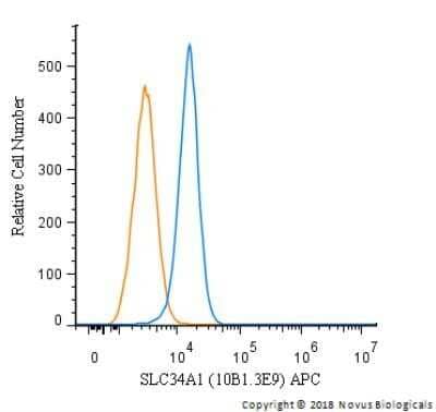 Flow Cytometry: SLC34A1 Antibody (10B1.3E9) - Azide and BSA Free [NBP2-80953] - An intracellular stain was performed on Hek293 cells with SLC34A1 Antibody [10B1.3E9] NBP2-42216APC (blue) and a matched isotype control (orange). Cells were fixed with 4% PFA and then permeabilized with 0.1% saponin. Cells were incubated in an antibody dilution of 1 ug/mL for 30 minutes at room temperature. Both antibodies were directly conjugated to Allophycocyanin.