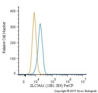 Flow Cytometry: SLC34A1 Antibody (10B1.3E9) - Azide and BSA Free [NBP2-80953] - An intracellular stain was performed on Hek293 cells with SLC34A1 Antibody [10B1.3E9] NBP2-42216PCP (blue) and a matched isotype control (orange). Cells were fixed with 4% PFA and then permeablized with 0.1% saponin. Cells were incubated in an antibody dilution of 10 ug/mL for 30 minutes at room temperature. Both antibodies were directly conjugated to PerCP.