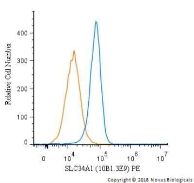 Flow Cytometry: SLC34A1 Antibody (10B1.3E9) - Azide and BSA Free [NBP2-80953] - An intracellular stain was performed on Hek293 cells with SLC34A1 Antibody [10B1.3E9] NBP2-42216PE (blue) and a matched isotype control (orange). Cells were fixed with 4% PFA and then permeabilized with 0.1% saponin. Cells were incubated in an antibody dilution of 2.5 ug/mL for 30 minutes at room temperature. Both antibodies were directly conjugated to phycoerythrin.