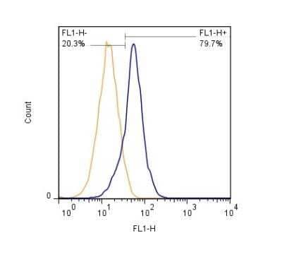 Flow Cytometry: SLC34A1 Antibody (10B1.3E9) - Azide and BSA Free [NBP2-80953] - FLOW detection of SLC34A1 protein on HEK293 cells - After fixation and permeabilization, 2 x 10^6 cells/ml were stained using SLC34A1 antibody (clone 10B1.3E9) at 1:1000 dilution. Signal was developped using GtxMs dylight 488 secondary (blue peak). Shown with secondary control (orange peak). Data was acquired on BD FACSCalibur. Image from the standard format of this antibody.