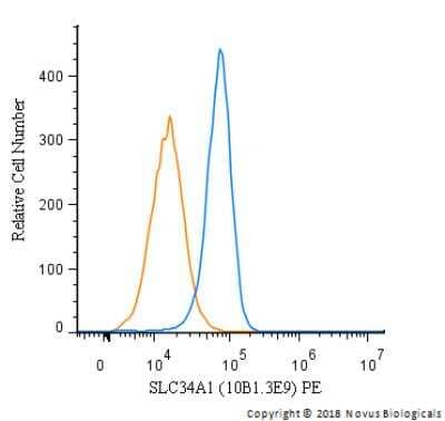 Flow Cytometry: SLC34A1 Antibody (10B1.3E9) [PE] [NBP2-42216PE] - An intracellular stain was performed on Hek293 cells with SLC34A1 Antibody [10B1.3E9] NBP2-42216PE (blue) and a matched isotype control (orange). Cells were fixed with 4% PFA and then permeabilized with 0.1% saponin. Cells were incubated in an antibody dilution of 2.5 ug/mL for 30 minutes at room temperature. Both antibodies were conjugated to Phycoerythrin.