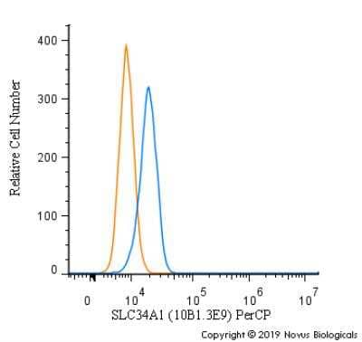 Flow Cytometry: SLC34A1 Antibody (10B1.3E9) [PerCP] [NBP2-42216PCP] - An intracellular stain was performed on Hek293 cells with SLC34A1 Antibody [10B1.3E9] NBP2-42216PCP (blue) and a matched isotype control (orange). Cells were fixed with 4% PFA and then permeablized with 0.1% saponin. Cells were incubated in an antibody dilution of 10 ug/mL for 30 minutes at room temperature. Both antibodies were conjugated to PerCP.