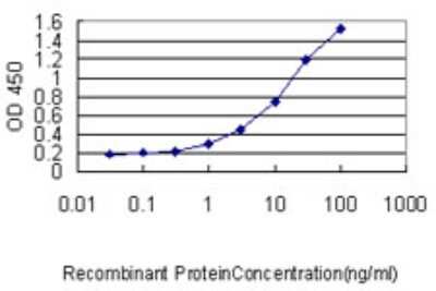 Sandwich ELISA: SLC45A2 Antibody (1B2) [H00051151-M02] - Detection limit for recombinant GST tagged SLC45A2 is approximately 0.03ng/ml as a capture antibody.