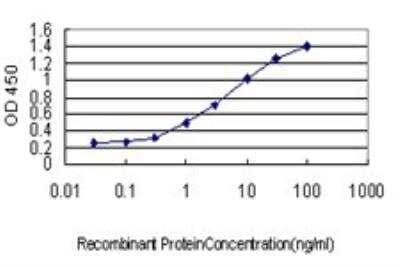 ELISA: SLC4A4 Antibody (1G2) [H00008671-M01] - Detection limit for recombinant GST tagged SLC4A4 is approximately 0.3ng/ml as a capture antibody.