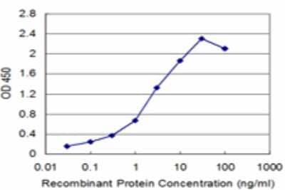 Sandwich ELISA: SLC6A20 Antibody (3G6) [H00054716-M02] - Detection limit for recombinant GST tagged SLC6A20 is approximately 0.1ng/ml as a capture antibody.