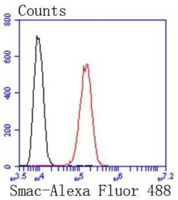 Flow Cytometry: SMAC/Diablo Antibody (SC67-06) [NBP2-67619] - Flow cytometric analysis of HepG2 cells with SMAC/Diablo antibody at 1/50 dilution (red) compared with an unlabeled control (cells without incubation with primary antibody; black). Alexa Fluor 488-conjugated goat anti rabbit IgG was used as the secondary antibody.