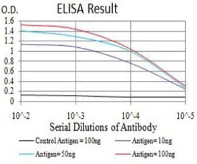 ELISA: SMARCA1 Antibody (2H7B9) [NBP2-61882] - Black line: Control Antigen (100 ng);Purple line: Antigen (10ng); Blue line: Antigen (50 ng); Red line:Antigen (100 ng)