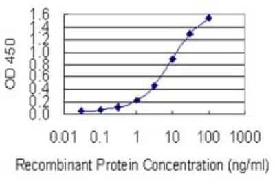 Sandwich ELISA: SMARCA6 Antibody (1D10) [H00003070-M01] - Detection limit for recombinant GST tagged HELLS is 0.1 ng/ml as a capture antibody.