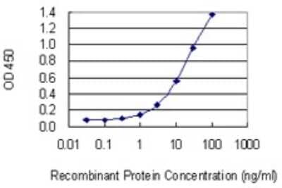 Sandwich ELISA: SMARCA6 Antibody (2G10) [H00003070-M04] - Detection limit for recombinant GST tagged HELLS is 0.3 ng/ml as a capture antibody.