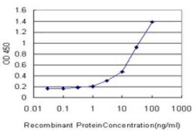 ELISA: SMARCD2 Antibody (2F7) [H00006603-M01] - Detection limit for recombinant GST tagged SMARCD2 is approximately 1ng/ml as a capture antibody.