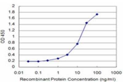 ELISA: SMARCD3 Antibody (5B6) [H00006604-M04] - Detection limit for recombinant GST tagged SMARCD3 is approximately 0.3ng/ml as a capture antibody.