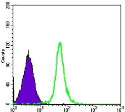 Flow Cytometry: SMC1 Antibody (5B6) [NBP1-51596] - Analysis of Hela cells using SMC1 mouse mAb (green) and negative control (purple).