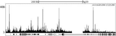 <b>Independent Antibodies Validation and Biological Strategies Validation.</b>Chromatin Immunoprecipitation Sequencing: SMCX Antibody [NB100-55327] - Localization of Jarid1C Binding Sites by ChIP-sequencing. Chromatin from K562 cells was immunoprecipitated with anti-Jarid1C antibody NB100-55327 and analyzed by DNA sequencing. The figure illustrates the peak distribution of Jarid1C binding within a 500 Kb region of chromosome 1 as detected using anti-Jarid1C antibody NB100-55327. ChIP-seq validation performed by Diogenode, Denville, NJ.