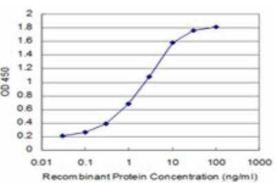 ELISA: SMG1 Antibody (2B10) [H00023049-M04] - Detection limit for recombinant GST tagged SMG1 is approximately 0.1ng/ml as a capture antibody.