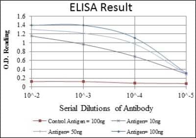 ELISA: SMN Antibody (2F1) [NBP2-37595] - Red: Control Antigen (100ng); Purple: Antigen (10ng); Green: Antigen (50ng); Blue: Antigen (100ng);