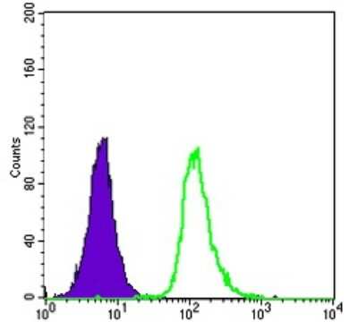 Flow Cytometry: SMN Antibody (2F1) [NBP2-37595] - Flow cytometric analysis of HepG2 cells using SMN1 mouse mAb (green) and negative control (purple).